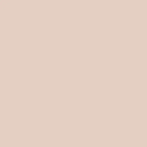 1969 | Pale Pink Paint