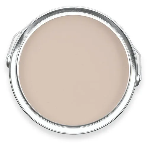 1969 | Pale Pink Paint