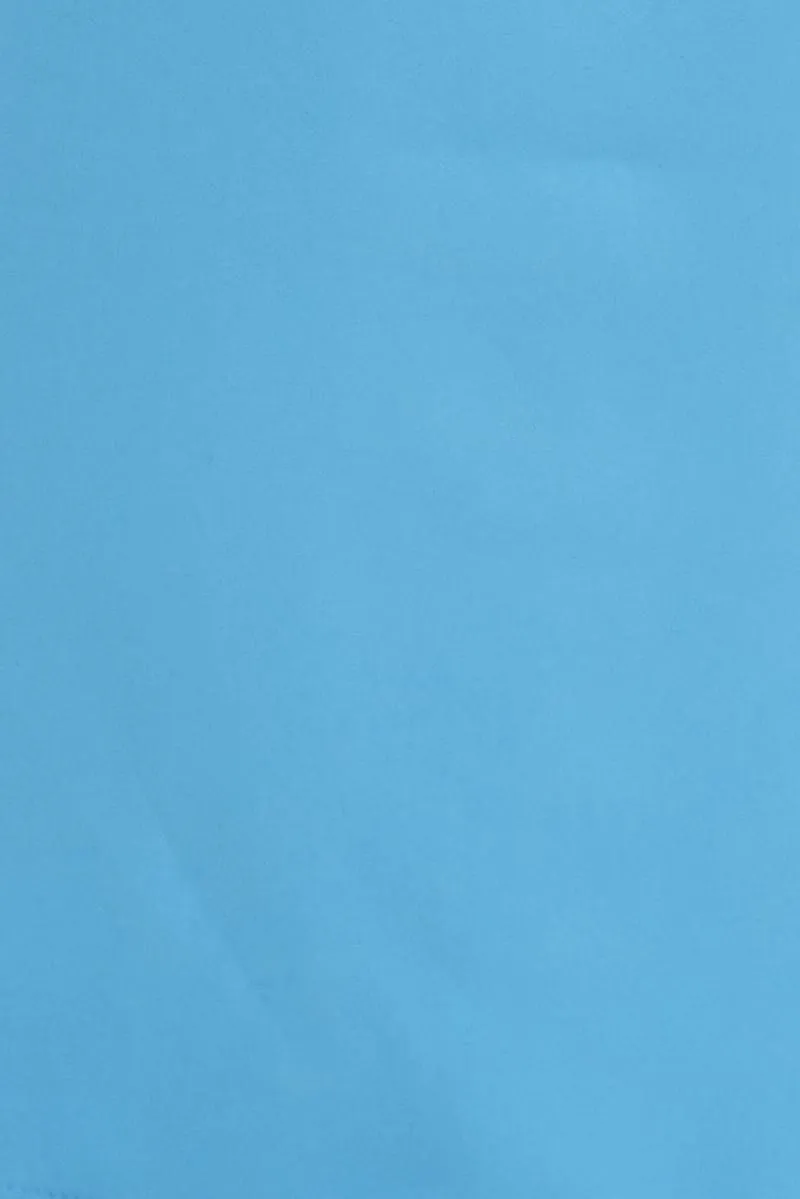 Blue Wideleg Pants High Waist