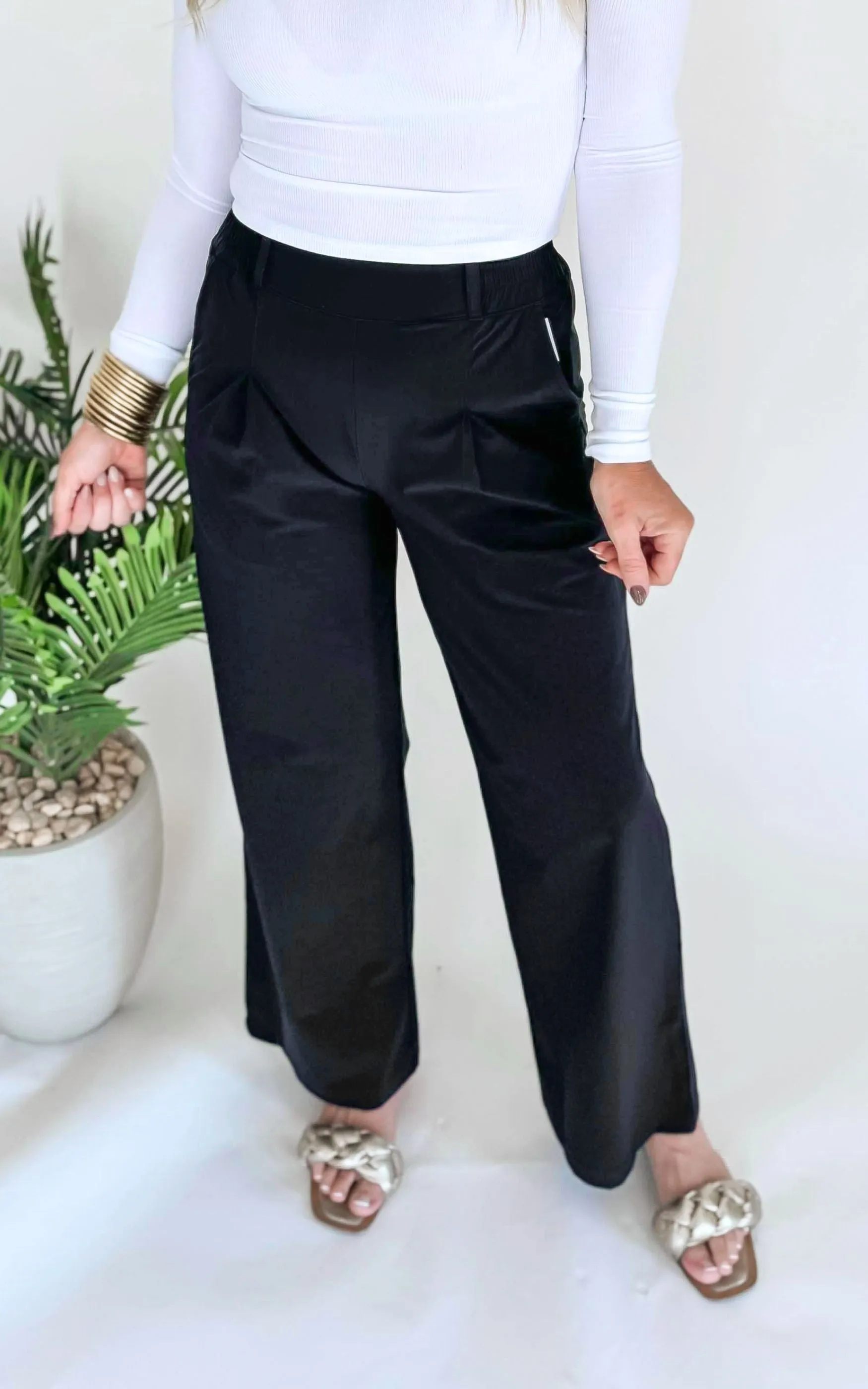 Front Pleated Tailored Wide Leg Pants | Mono B - Final Sale