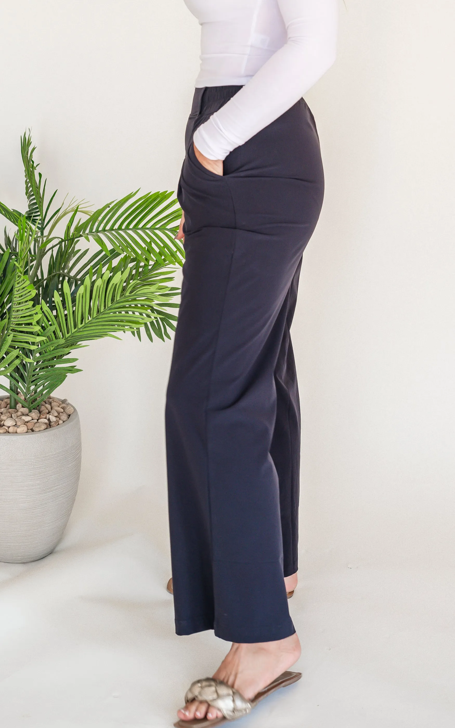 Front Pleated Tailored Wide Leg Pants | Mono B - Final Sale