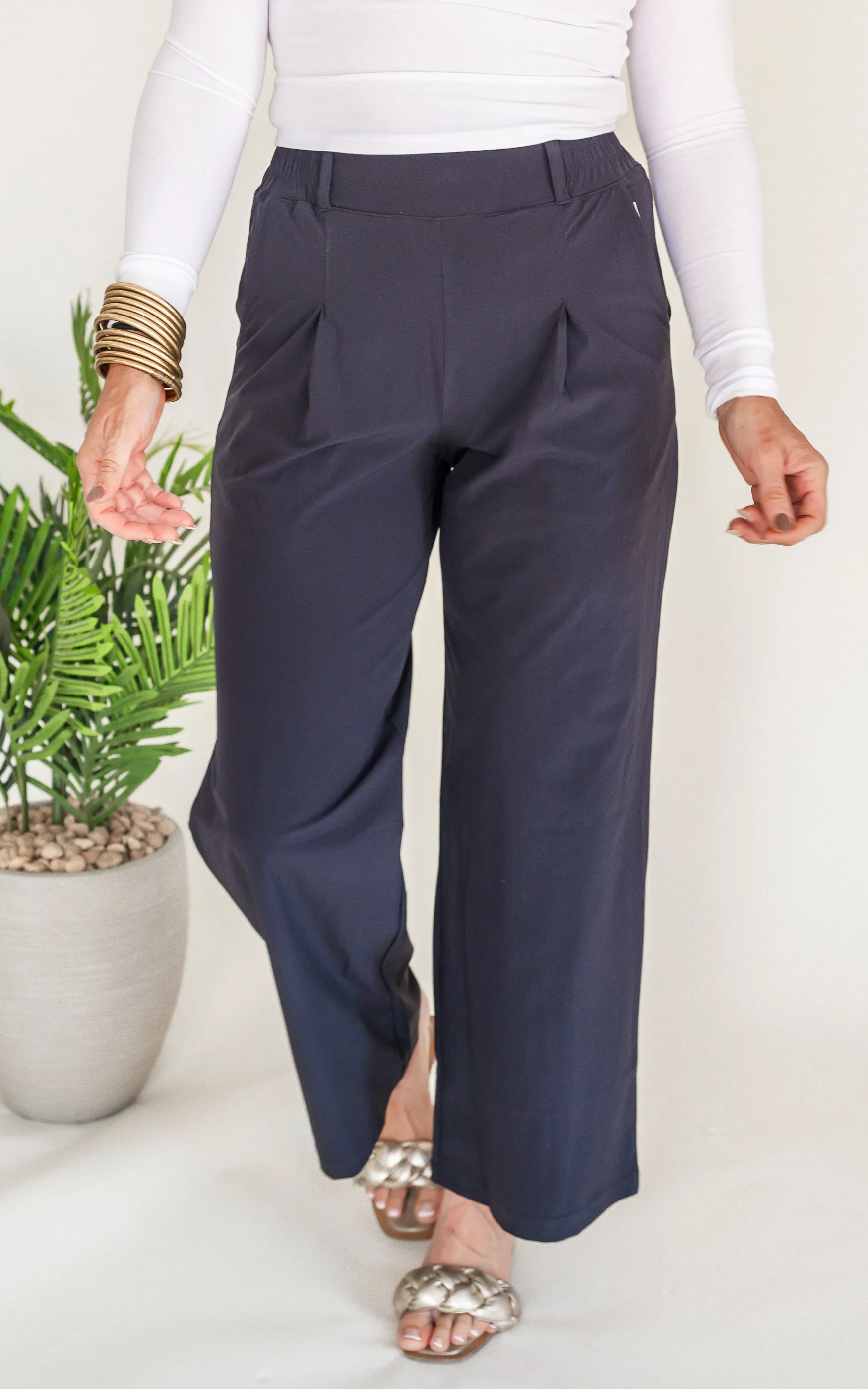 Front Pleated Tailored Wide Leg Pants | Mono B - Final Sale