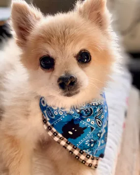 Helpful Heifer Buddy Bandana
