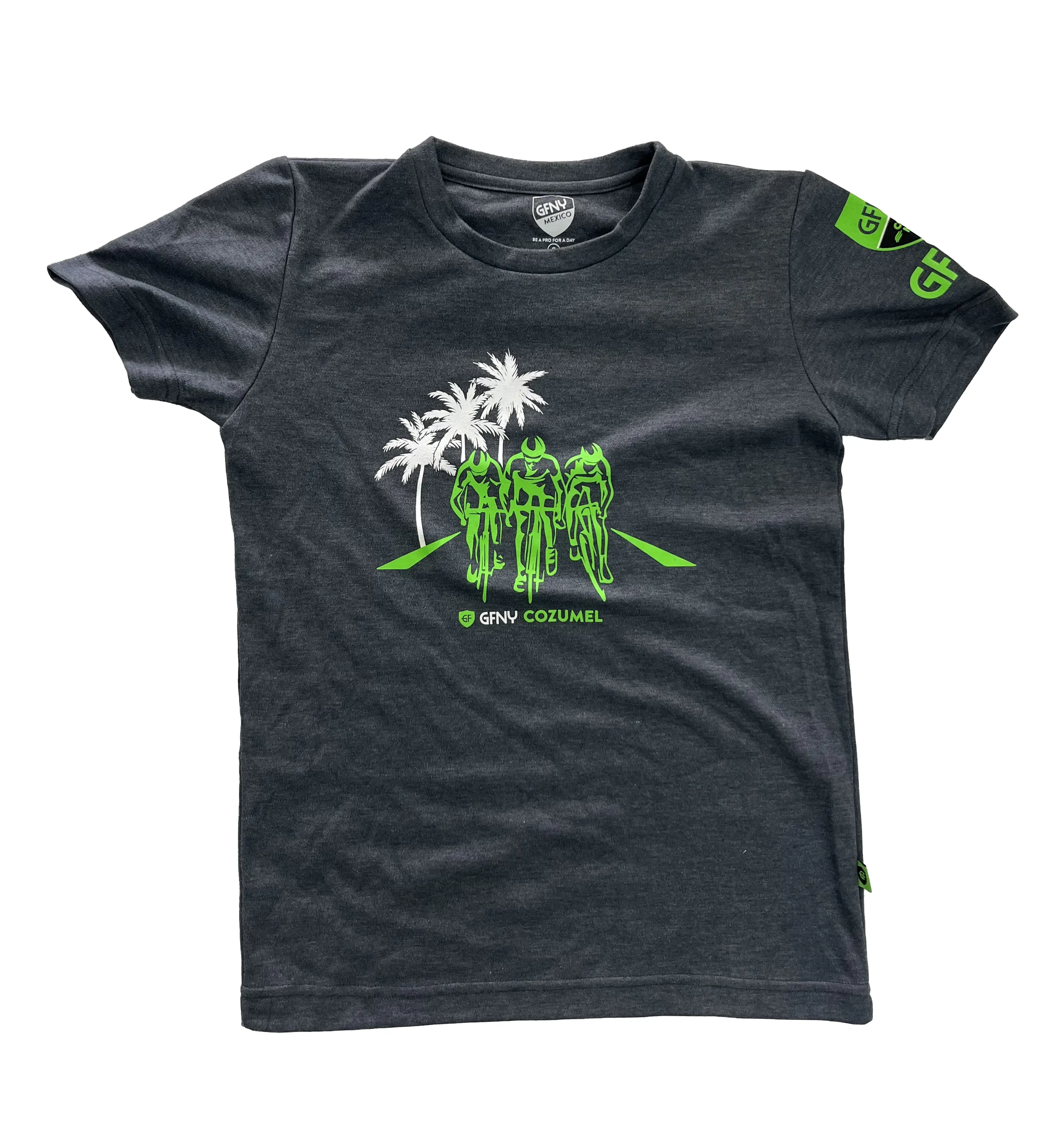 MEN GREY T-SHIRT PALMS  COZUMEL