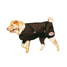 Oil Skin Dog Coat